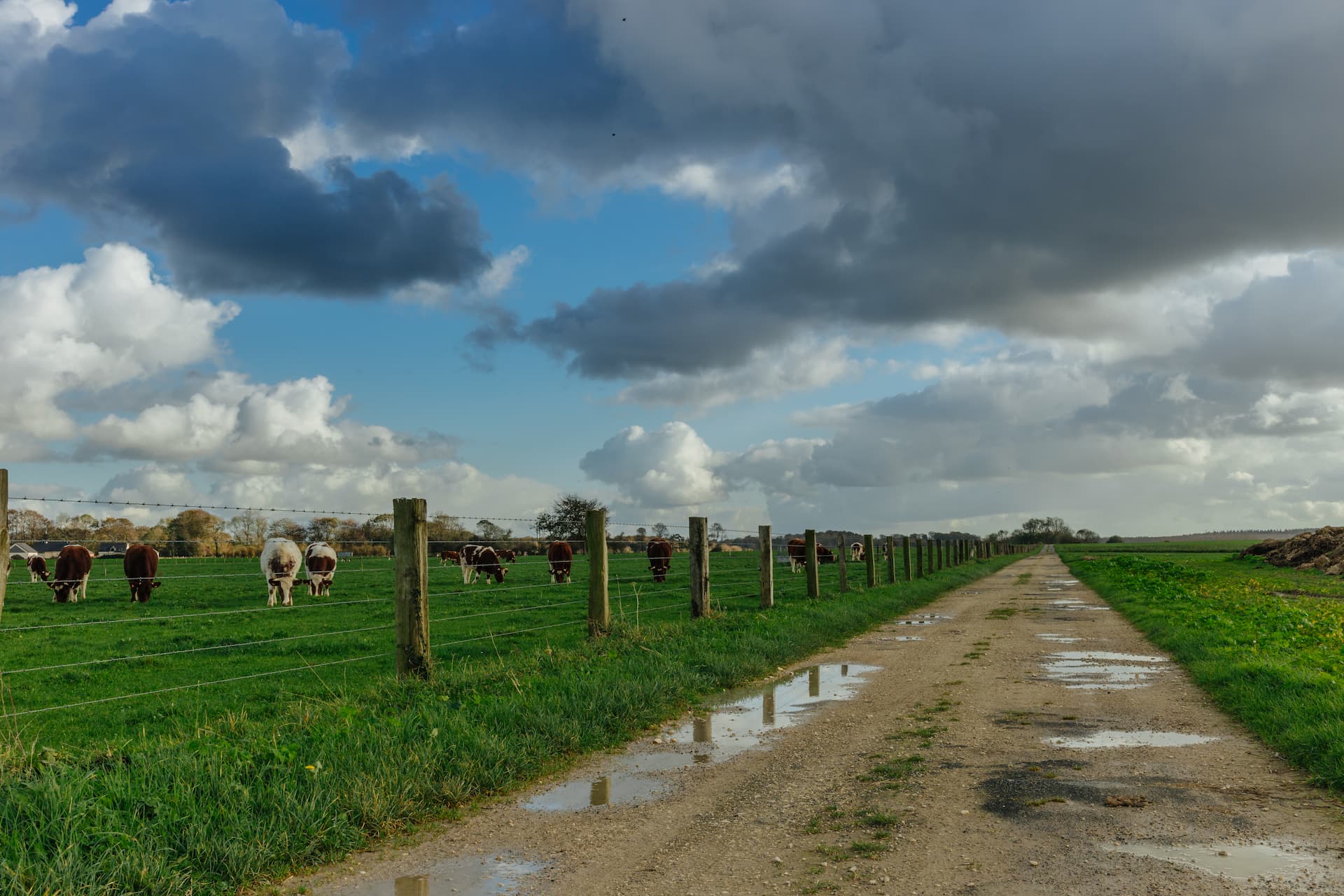 Local farm road contractors Fakesville