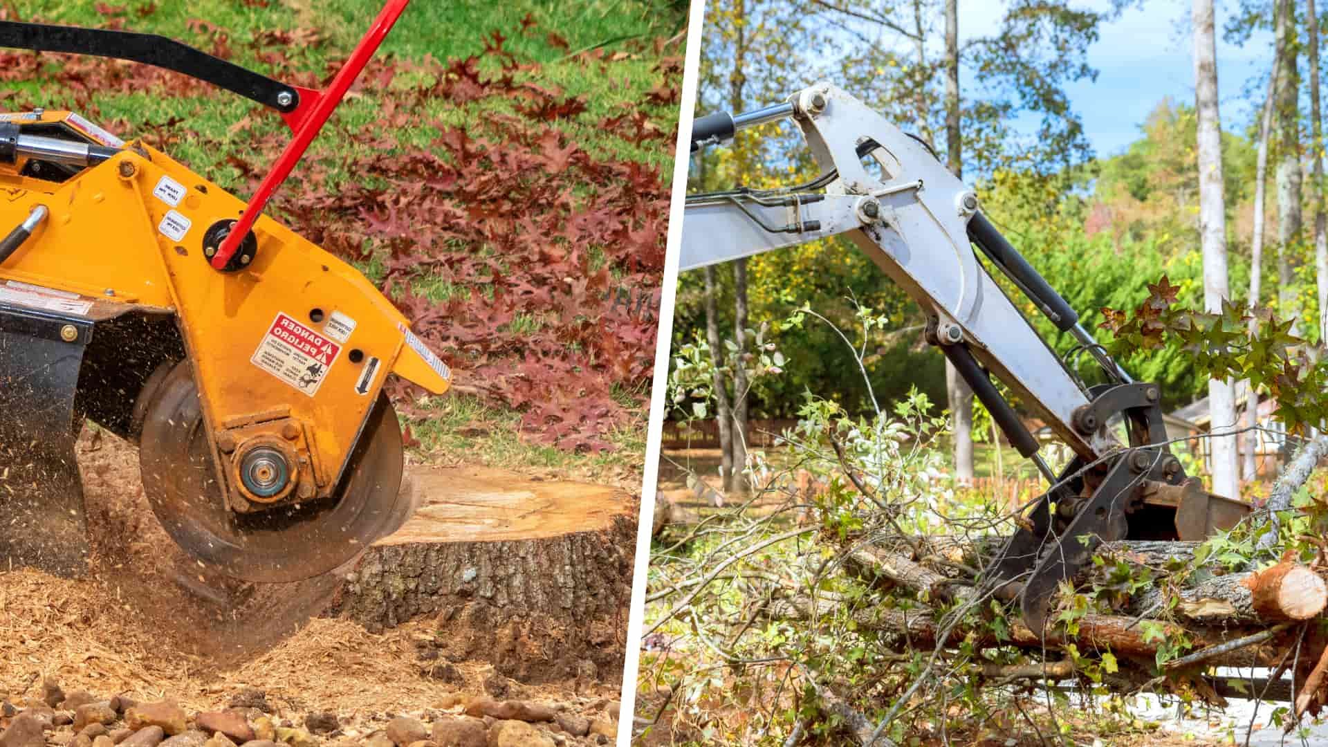 Affordable tree surgery services Fakesville