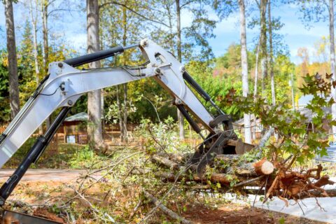 Site Clearance Services Fakesville