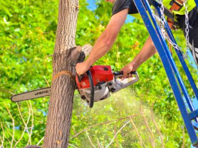 Tree cutting service Fakesville