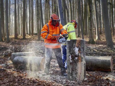 site clearing and excavation Fakesville