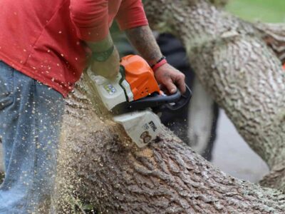 Fakesville tree surgeon