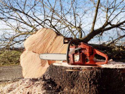 Tree cutting service near me Fakesville