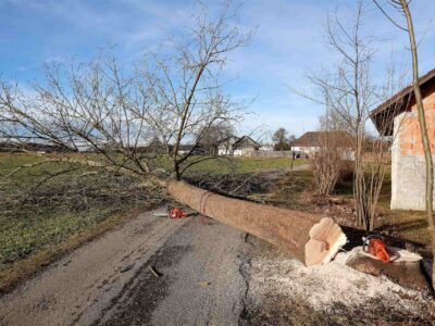 Tree cutting Fakesville