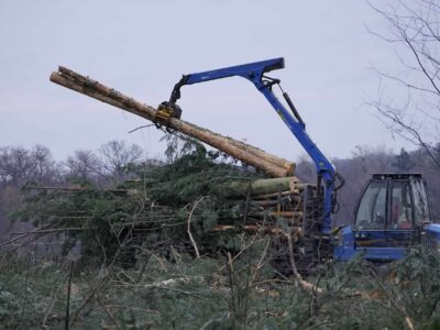 Site clearance near me Fakesville