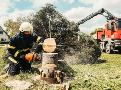 Tree surgery near me Fakesville